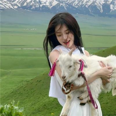 丛林游戏